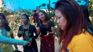 Nocte video new year 2018