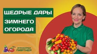 ОСТОРОЖНО! После просмотра этого видео вы будете выращивать огород дома!