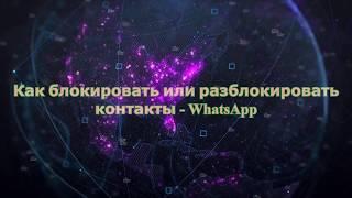 Как блокировать или разблокировать контакты   WhatsApp