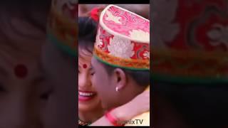 Ngatai jal maya tamang selo song #tamang #shorts @Nepaliselo #trending Selo Jhuhari #nepalisong