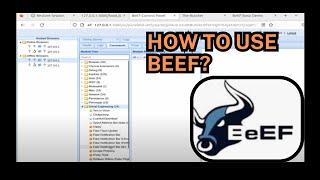 BEEF WEB-BROWSER TUTORIAL USES  AND EACH COMMANDS EXPLAINATION-WEB BROWSER IS NOT SECURE