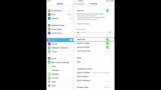 iPad Accessibility Settings