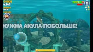 Hangry shark клёвая акула