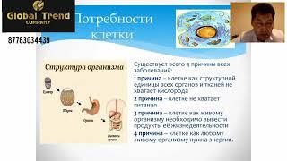 Global Trend Хойков Чингис Михайлович врач высшей  квалификационной категории.