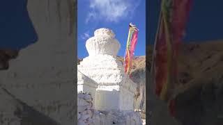 Ladakh | The Land of Finest Cashmere in the  World | Changpa Cashmere | #Shorts
