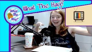 What the Hay: Is a TV?