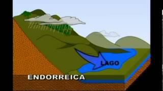 La Cuenca Hidrológica