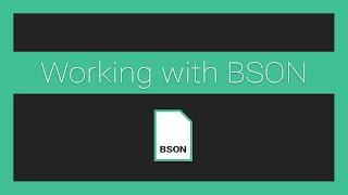 Working with BSON in JavaScript