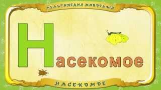 Мультипедия животных. Буква Н - Насекомое