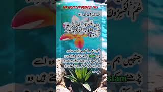 jinhe hum ne kitab di| #islam #islamic #deen #allah #qurantilawat #shorts #youtubeshorts
