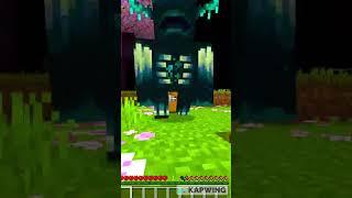 Bro became satima(#minecraft #trending #youtubeshorts )