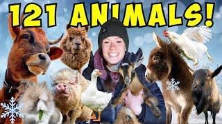 Morning Chores FARM TOUR! | Feeding All My Animals in 8℉!