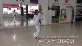 Artes Marciales Tatgun -Programa de Blanco -Patadas (Chaguis)