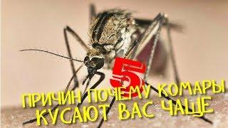 5 ПРИЧИН ПОЧЕМУ КОМАРЫ КУСАЮТ ВАС ЧАЩЕ ЧЕМ ДРУГИХ