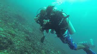 Gili Islands dive with Scallywag Divers