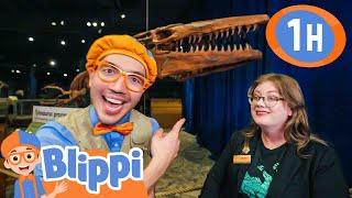 Orlando Science Center - Dinosaurs | Blippi | Kids Songs | Moonbug Kids