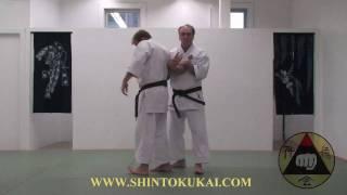 Okinawa Shorin-ryu Karate: Parent Style of Shotokan (clip 2)