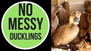 NO MESSY DUCKLINGS!! // RAISING DUCKLINGS WITHOUT THE MESS! /// BIG POND FARM