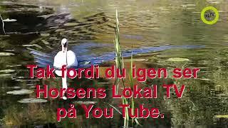 Horsens Lokal TV