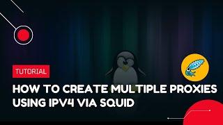 How to create multiple proxies using IPv4 via Squid | VPS Tutorial