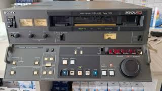 Betacam sp