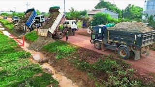 First Starting New Perfectly!! Massive Landfill By 5-T Dump Truck Overloading With Dozer