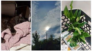 VLOG 450: ЗАСТАВИЛИ УЛЫБНУТЬСЯ!