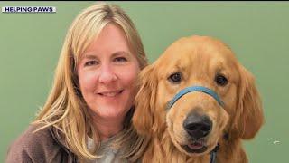 Family dog killed in shooting: Melissa Hortman’s impact with Helping Paws