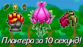 КАК УБИТЬ ПЛАНТЕРУ ЗА 10 СЕКУНД В TERRARIA?!