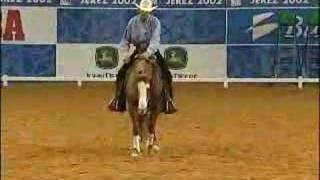 Craig Johnson Bridleless Reining Demo