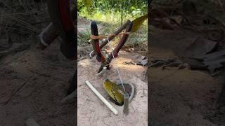 DIY Snake Trap using Pliers #creativesnaketrap #buildsnaketrap