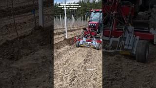 Root Pruner For Orchards & Vineyards || #vineyard #orchards #prunning #shorts
