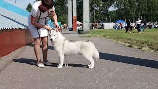 Lenochka trained before her BISS