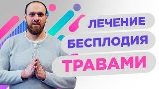 Лечение бесплодия травами | Павел Науменко