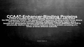 Medical vocabulary: What does CCAAT-Enhancer-Binding Proteins mean