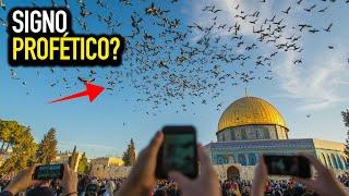 Has Ezekiel 38 been fulfilled? Has the prophecy of Gog and Magog begun?