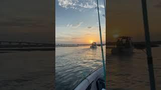 Headed fishing #fishing #fishinglife #fishingtips #fish #fishingvideo #boat #boating #boatlife #sun