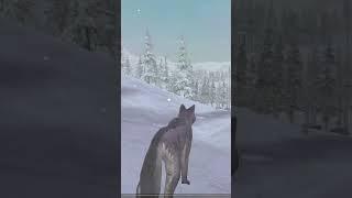 Wolves game video