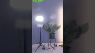 网易CC #小c甜 2022 09 01 整理3