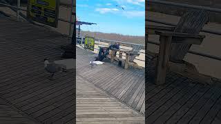 Atlantic City #atlanticcity april