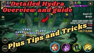 Remember....you guys asked for this Hydra guide!