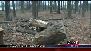 Eagle Scout project destroyed