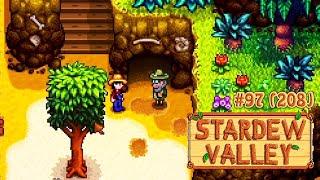 Раскопки, скелеты, орехи и баги 1.5  Stardew Valley Прохождение 2 сезон #208