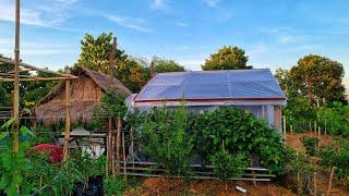 BAYANIHAN in my brother's grapes farm and cooking "PAPAITANG BAKA"