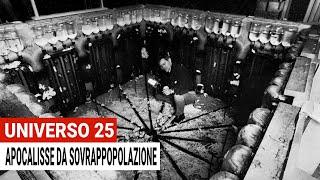 Universo 25: l’Apocalisse da Sovrappopolazione in un Esperimento per Topi