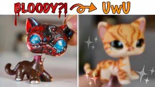 LPS Crusty to Clean Makeover #3  Shorthair Cat