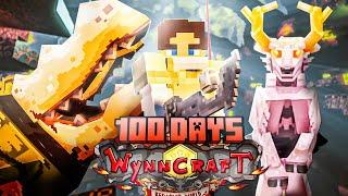 100 Days as an ASSASSIN in Wynncraft