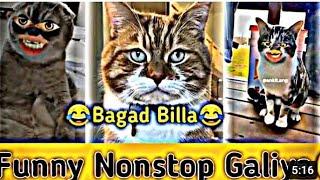 Bagad Billa #newvideo  || Bagad Billa Best Comedy #animal  #bagadbilla#2024