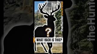 MYSTERY RACK DIAMOND!?! The Hunter: Call of the Wild