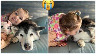 Baby Was Crying At Nursery For Her Husky!.